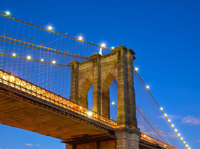 New York profile image